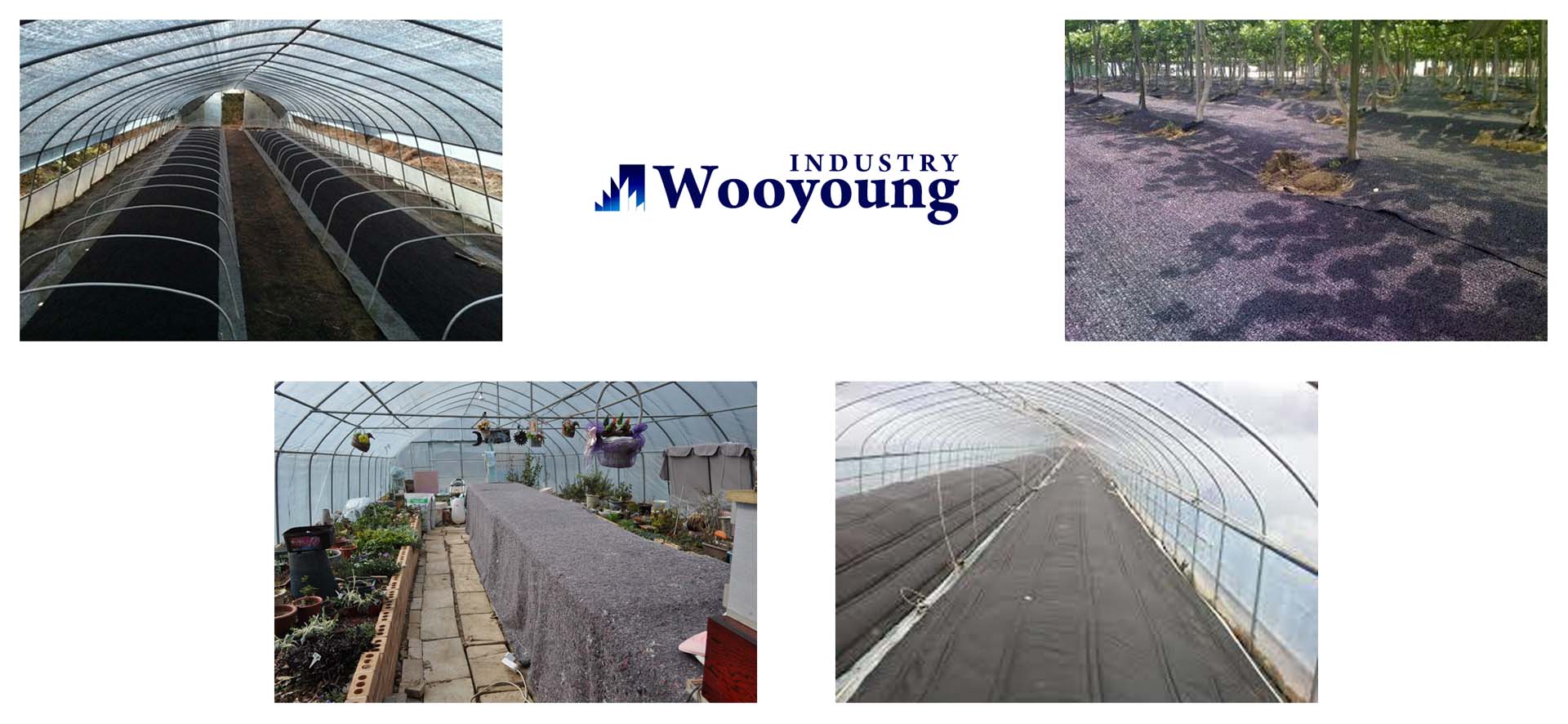 Argicultural Insultion cover 1