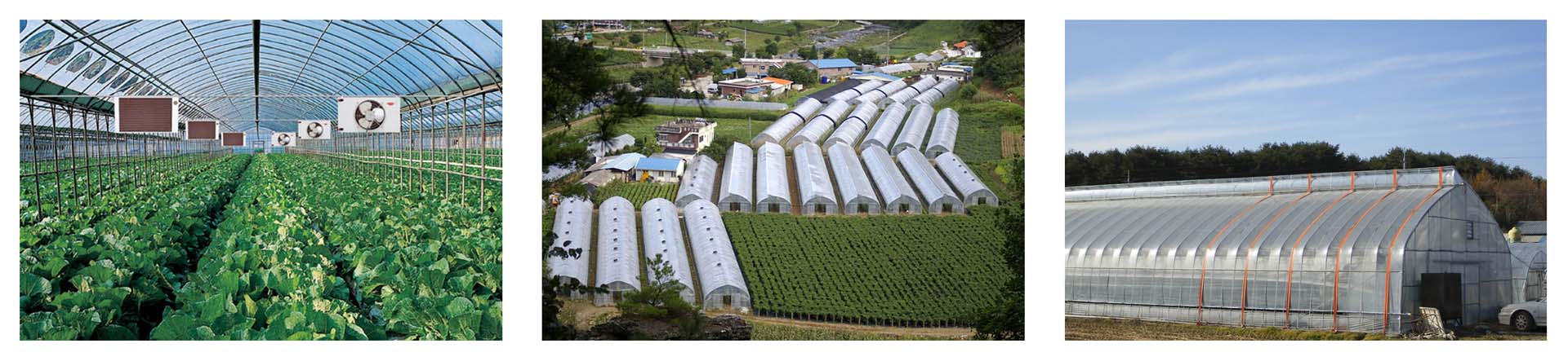 Argicultural Insultion cover 3