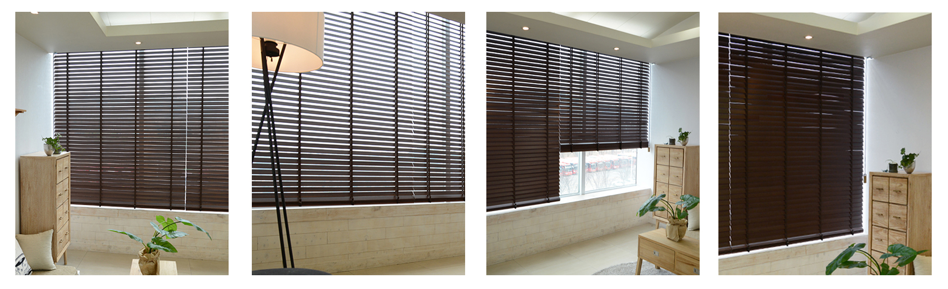 Bass wood representative