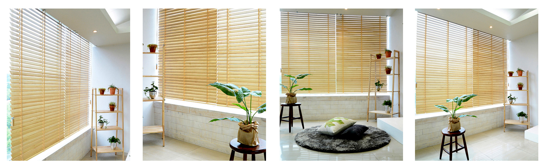 Paulownia wood repersentative