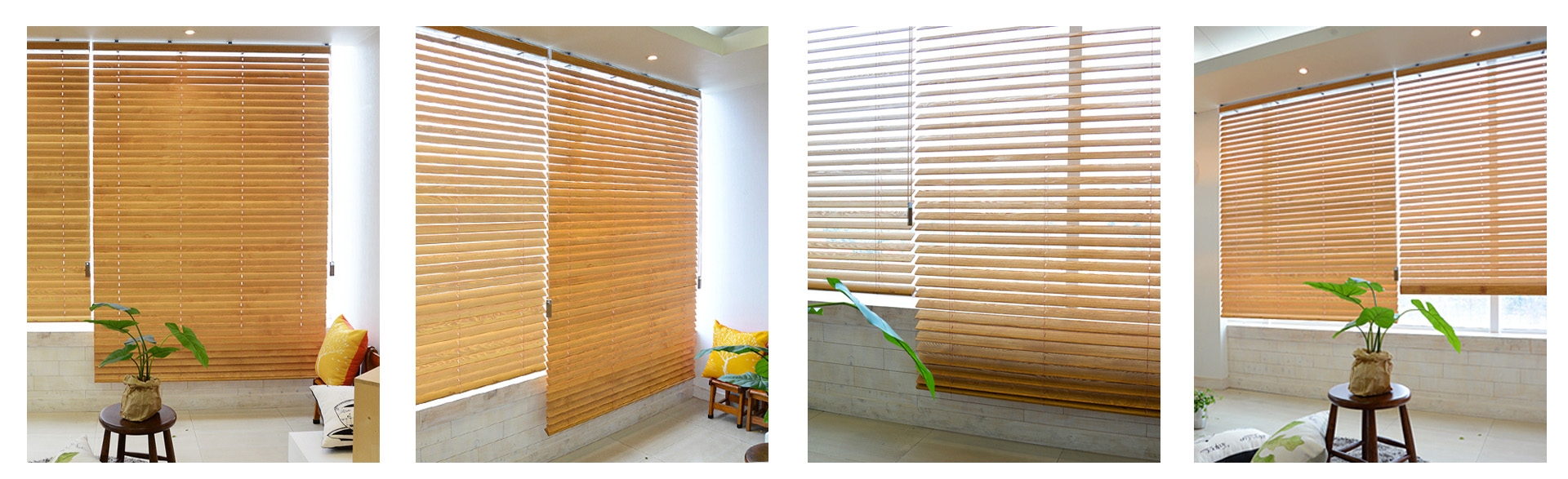 Pinewood representative 1